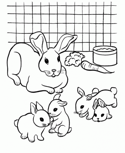 30 Trang Màu Bunny Miễn Phí - Tô Màu